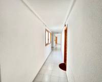 Аренда на длительный срок - Apartment - Torrevieja - Centro