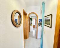 Аренда на длительный срок - Apartment - Torrevieja - Los Frutales