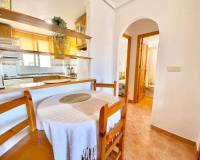 Аренда на длительный срок - Apartment - Torrevieja - Nueva Torrevieja - Aguas Nuevas