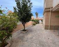 Аренда на длительный срок - Apartment - Torrevieja - Nueva Torrevieja - Aguas Nuevas