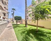 Аренда на длительный срок - Apartment - Torrevieja - Nueva Torrevieja