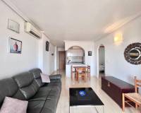 Аренда на длительный срок - Apartment - Torrevieja - Nueva Torrevieja