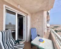 Аренда на длительный срок - Apartment - Torrevieja - Nueva Torrevieja