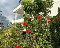 Аренда на длительный срок - Apartment - Torrevieja - Parque las naciones