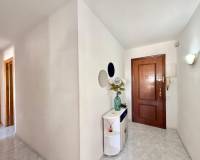 Аренда на длительный срок - Apartment - Torrevieja - Playa de El Cura