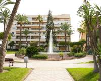 Аренда на длительный срок - Apartment - Torrevieja - Playa de los Locos