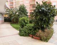 Аренда на длительный срок - Apartment - Torrevieja - Playa del Cura