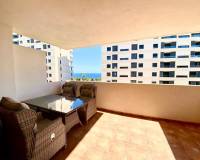 Аренда на длительный срок - Apartment - Torrevieja - Punta prima