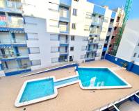 Аренда на длительный срок - Apartment - Torrevieja - torrevieja