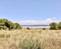 Аренда на длительный срок - Duplex - Torrevieja - El Chaparral