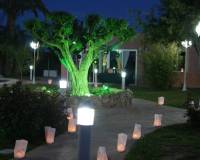 Аренда на длительный срок - Ground Floor - Elche