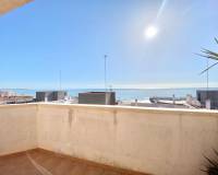 Аренда на длительный срок - Penthouse - Guardamar del Segura - Los Secanos