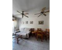 Аренда на длительный срок - Penthouse - Torrevieja - Curva del Palangre