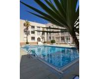 Аренда на длительный срок - Penthouse - Torrevieja - Curva del Palangre