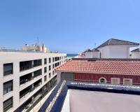 Аренда на длительный срок - Penthouse - Torrevieja - La Mata