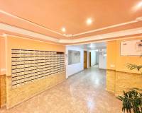 Аренда на длительный срок - Penthouse - Torrevieja - Playa de los Locos