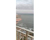 Аренда на длительный срок - Penthouse - Torrevieja - Playa del Cura