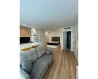 Аренда на длительный срок - Studio apartment - Elche - Center