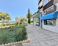 Аренда на длительный срок - Studio apartment - Orihuela Costa - Dehesa de campoamor