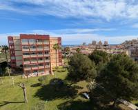 Аренда на длительный срок - Studio apartment - Torrevieja - Centro