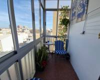 Аренда на длительный срок - Studio apartment - Torrevieja - Centro