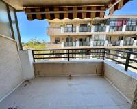 Аренда на длительный срок - Studio apartment - Torrevieja - El Chaparral