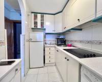 Аренда на длительный срок - Studio apartment - Torrevieja - La Mata