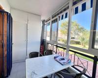 Аренда на длительный срок - Studio apartment - Torrevieja - La Mata