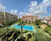 Аренда на длительный срок - Studio apartment - Torrevieja - La Mata