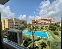 Аренда на длительный срок - Studio apartment - Torrevieja - La Mata