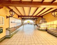 Аренда на длительный срок - Studio apartment - Torrevieja - Los Frutales