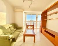 Аренда на длительный срок - Studio apartment - Torrevieja - Puerto de Torrevieja