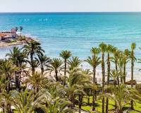 Аренда на длительный срок - Studio apartment - Torrevieja - torrevieja