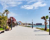 Аренда на длительный срок - Studio apartment - Torrevieja - torrevieja