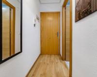 Аренда на длительный срок - Studio apartment - Torrevieja - torrevieja