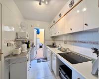 Аренда на длительный срок - Townhouse - Torrevieja - El Chaparral