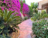 Аренда на длительный срок - Villa - Mutxamel - Bonalba-cotoveta