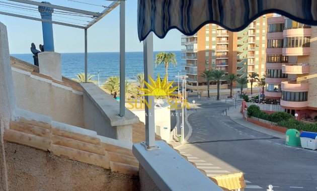 Chalet - Alquiler de invierno - Arenales del Sol - Arenales del Sol