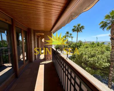 Comercial - Alquiler a largo plazo - Torrevieja - RENT-1569R