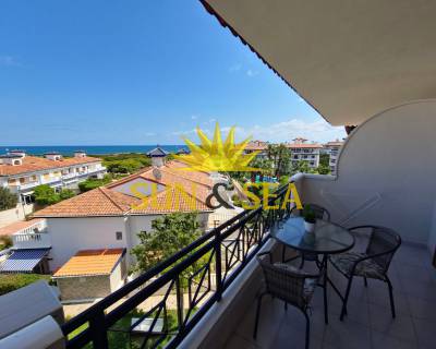 Estudio - Alquiler a largo plazo - Torrevieja - RENT-1140ASP