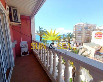 Estudio - Alquiler a largo plazo - Torrevieja - RENT-229A