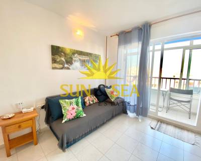 Estudio - Alquiler a largo plazo - Torrevieja - RENT-2451MG