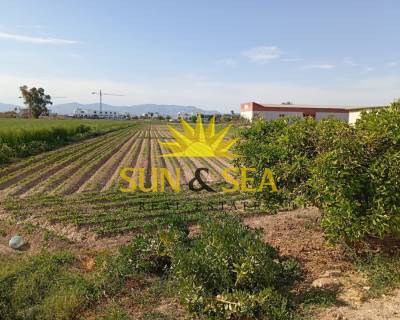 Finca - Перепродажа - Dolores - SS00-117L