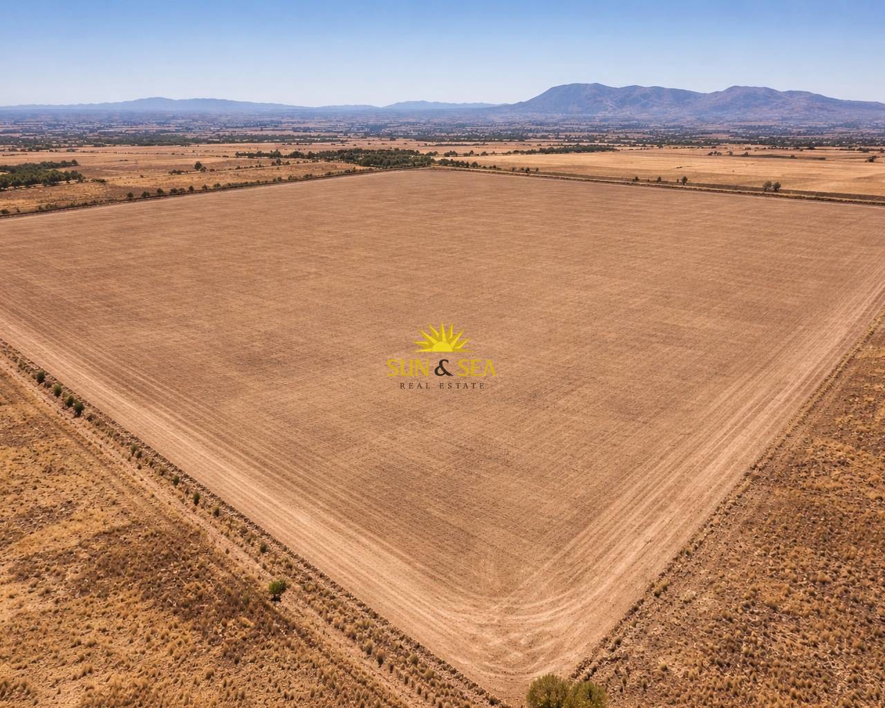 Finca - Revente - Crevillente - Crevillente