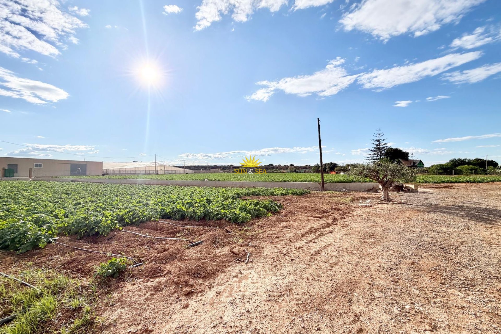 Herverkoop - Finca - San Pedro del Pinatar - 