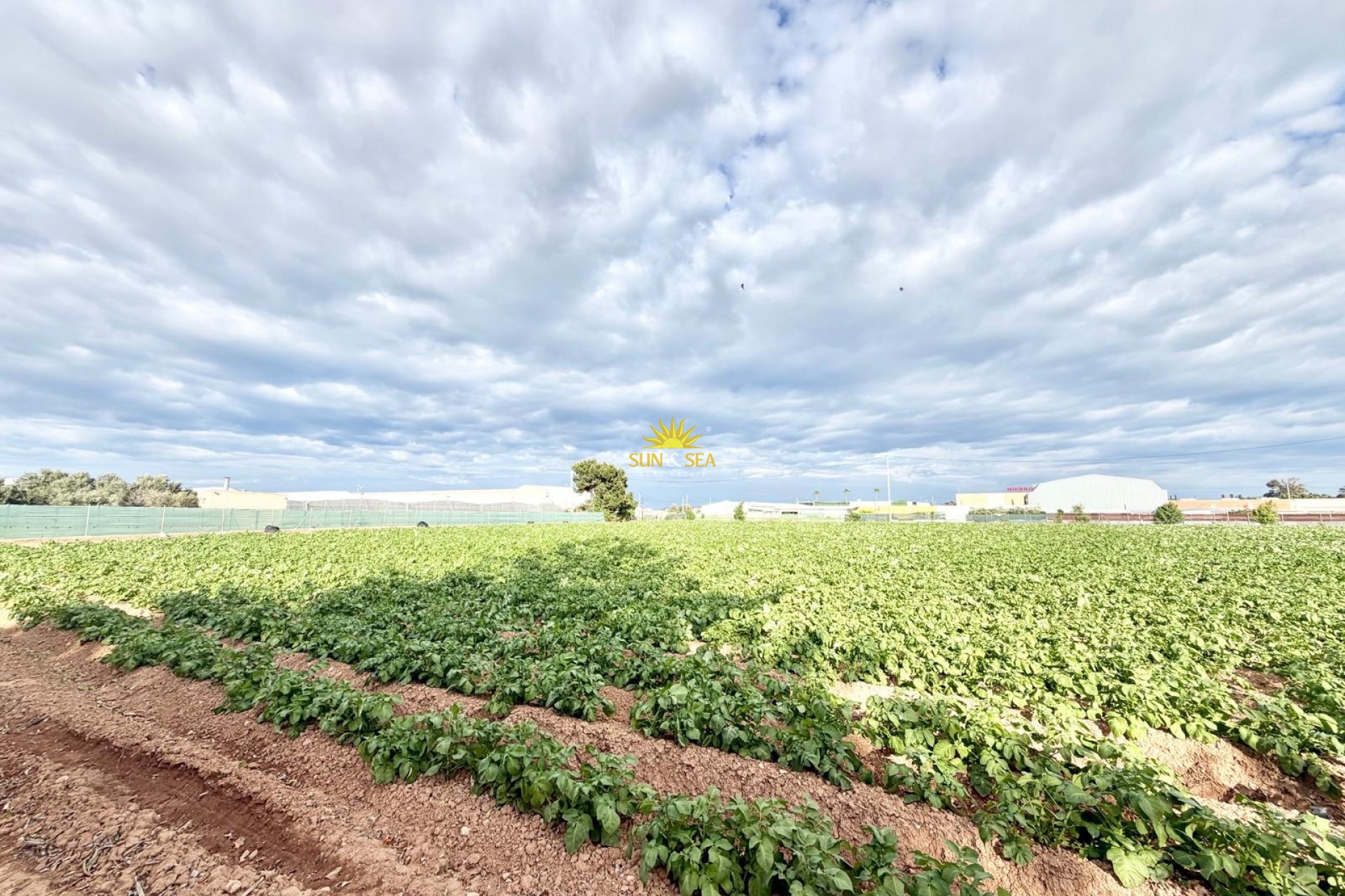 Herverkoop - Finca - San Pedro del Pinatar - 