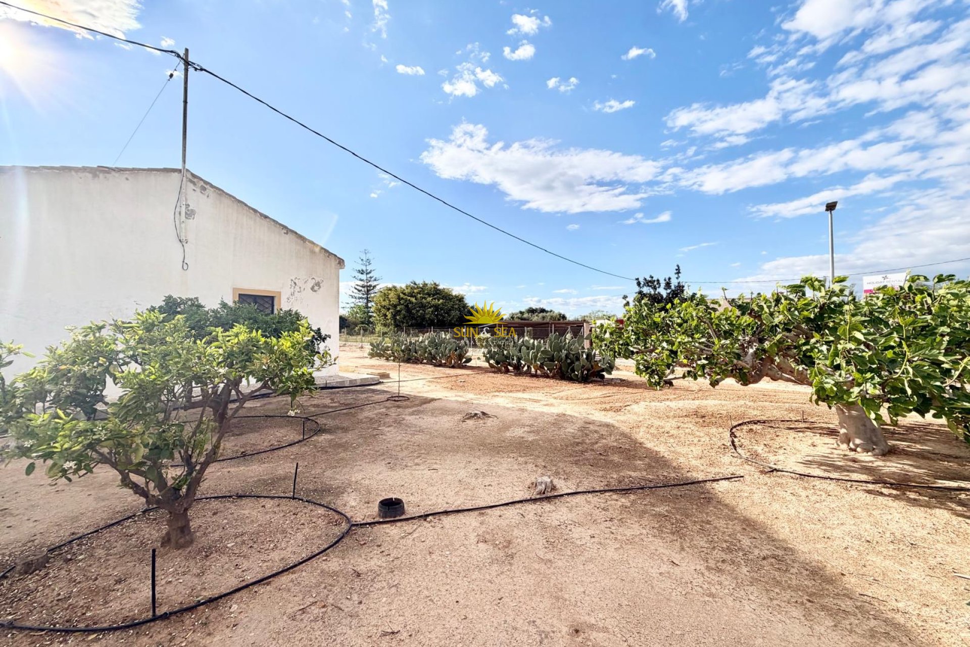 Herverkoop - Finca - San Pedro del Pinatar - 
