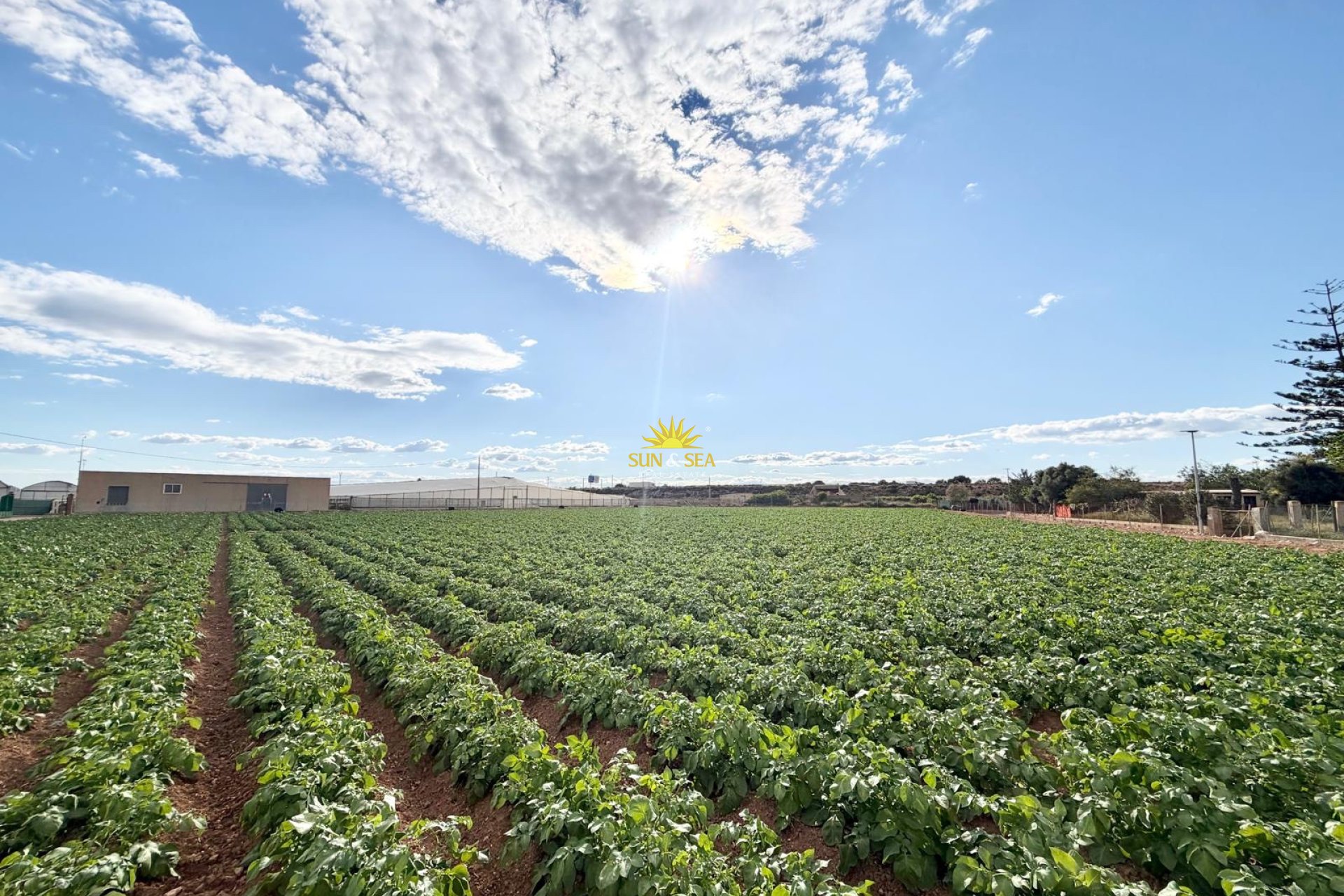 Herverkoop - Finca - San Pedro del Pinatar - 