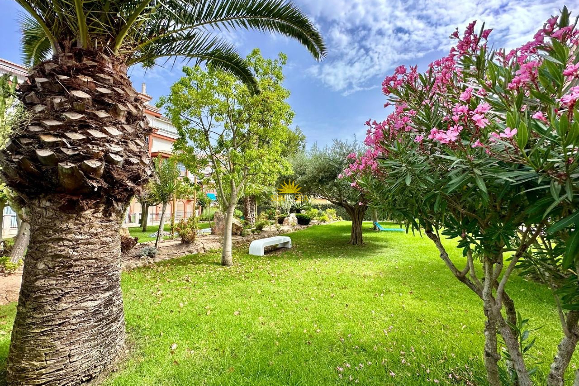 Kurzzeit-Vermietung - Wohnung - Torrevieja - Nueva Torrevieja - Aguas Nuevas