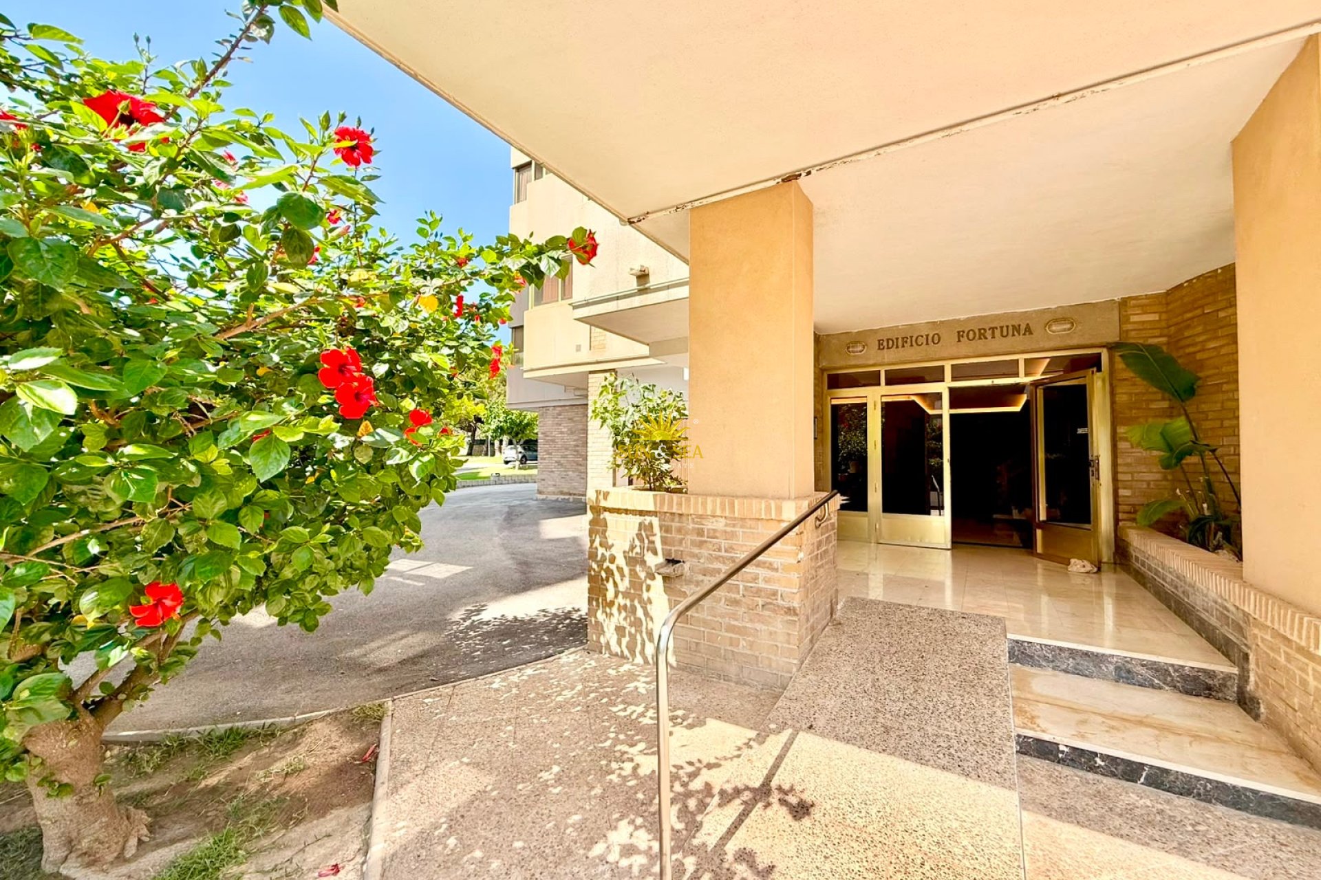 Location à long terme - Appartement - Alicante (Alacant)